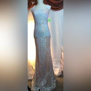 Windsor Nude Beautifully Beaded Long Gown. Size: Medium